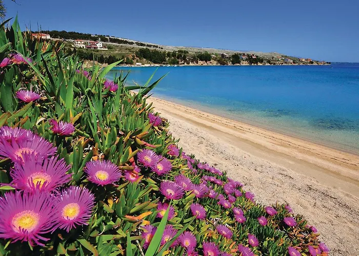 Daire Cozy In Pag With Wifi